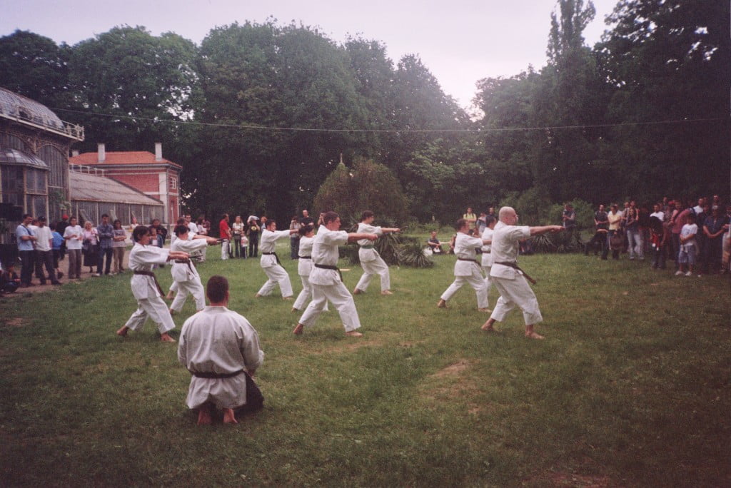 karate klub tsunami u japanskom vrtu
