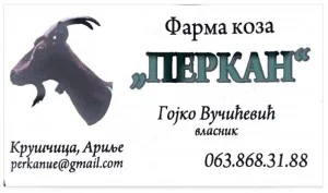 perkan - kozji sir iz arilja