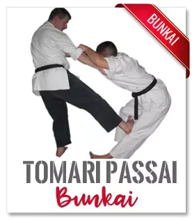 tomari passai bunkai