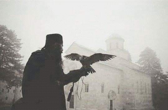 Manastir Dečani soko