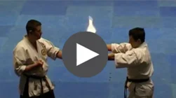 karate shorin rye