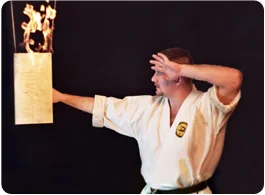 милош станић темашивари окинава карате