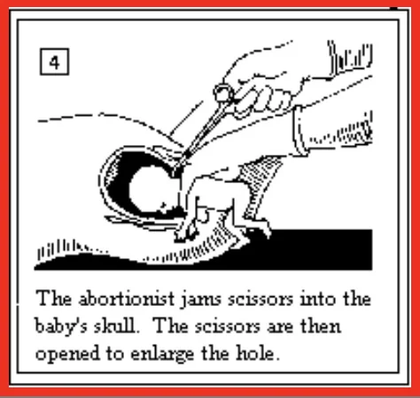 Screenshot 2020-10-26 at 21.32.05.jpg